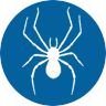 icon-Spider