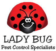 Lady Bugs - Organic Control, Inc.