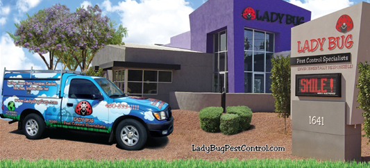 Spencer Pest Services – Pest Control and Exterminator ServicesLady bugs  control treatment