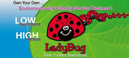 Lady Bug - Rentokil